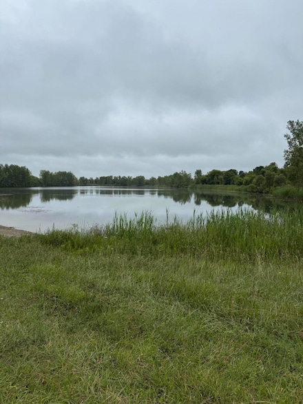 6971 Hartel Rd, Potterville, MI 48876