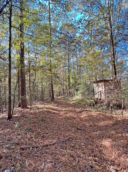 0 Mississippi 528, Heidelberg, MS 39439