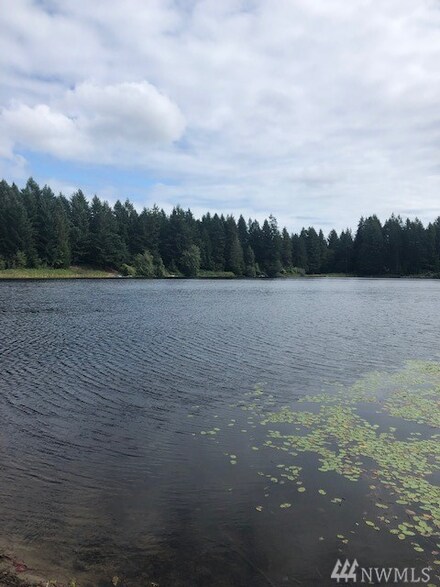 3713 Jackson Lake Rd NW, Home, WA 98349
