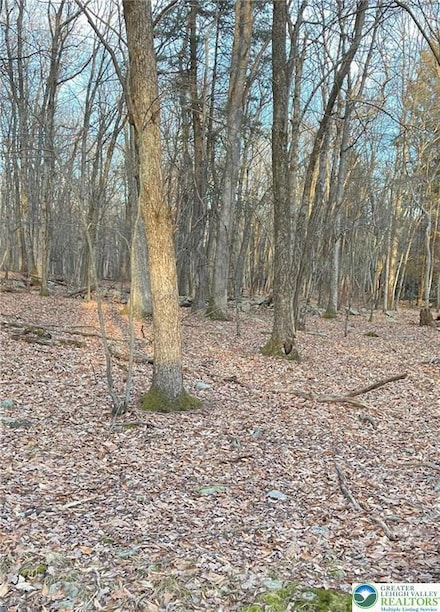 80 Spokane Rd, Penn Forest Township, PA 18210