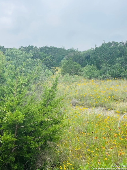 14333 Santa Loma, Helotes, TX 78023