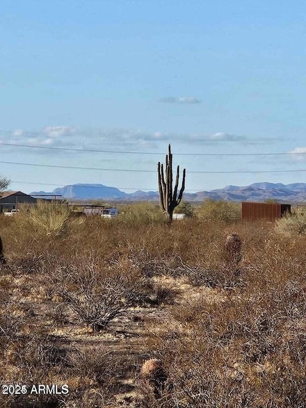 216XX''-'' W Galvin St Unit 2, Wittmann, AZ 85361