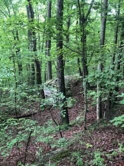 0 Anderson Pike Unit 1513207, Signal Mountain, TN 37377