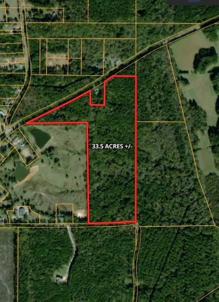0 Pat Luckett Rd, Canton, MS 39046