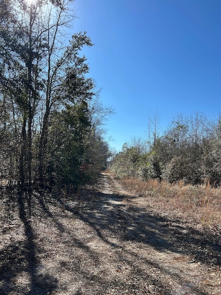 0 Tbd Old State Rd, Saint Matthews, SC 29135