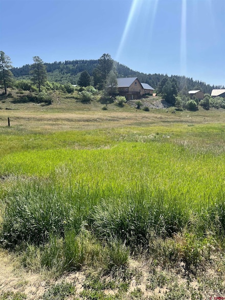 77 & 89 Snow Cir, Pagosa Springs, CO 81147