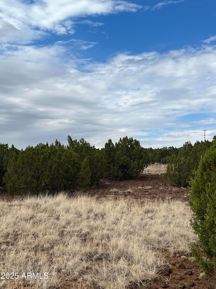 8766 Clark Rd, Show Low, AZ 85901