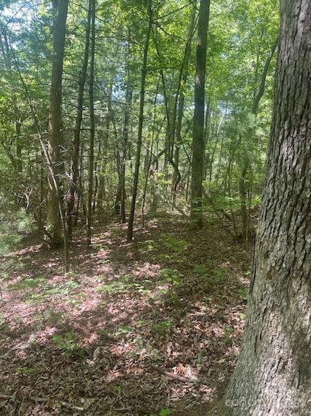 Lot 10 Copperhead Rd, Hendersonville, NC 28739