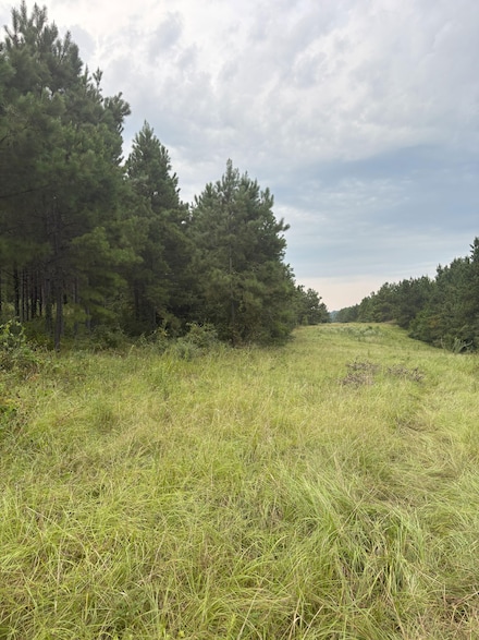 1388 County Road 1060, Center, TX 75935