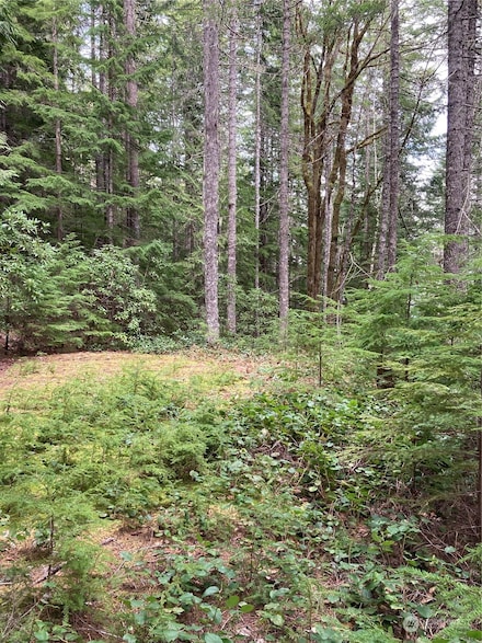 1350 N Hilltop Loop Rd, Hoodsport, WA 98548
