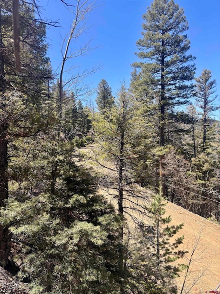 000 Vreeland Rd, Fort  Garland, CO 81133