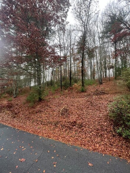 0 Woodsy Pine Trail, Glenville, NC 28736