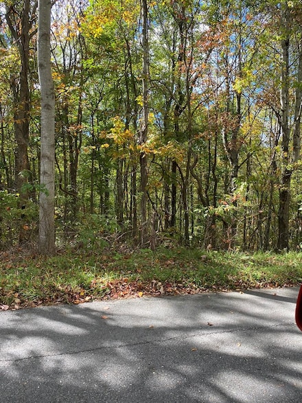 TBD Stinson Ridge, Jewell Ridge, VA 24622