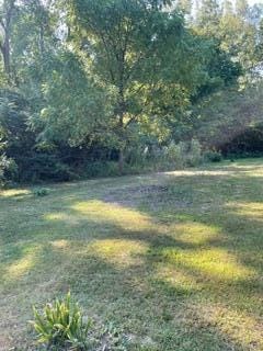 Parcel C-1 Wyndwicke Dr, Royalton Township, MI 49085