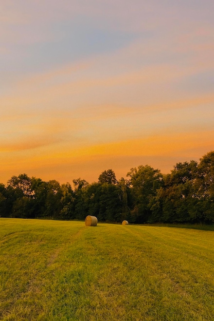 2111 Foster Dr, Willisburg, KY 40078