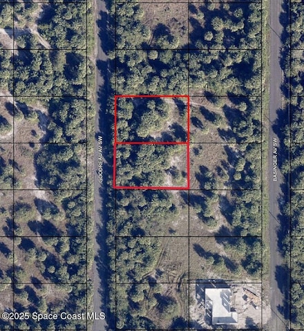 1991 1999 Goodreau (2 Lots) Ave SW, Palm Bay, FL 32908