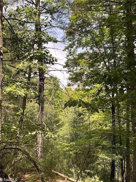 Lot 7 Overland Trail, Hays, NC 28635