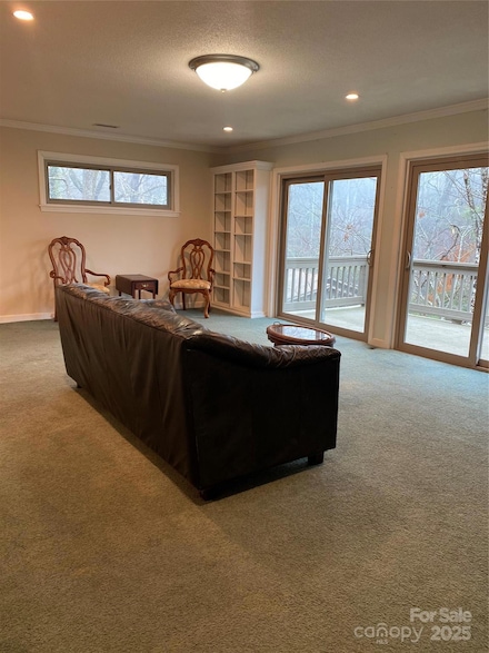 11 Cedarbrook Dr, Hendersonville, NC 28739
