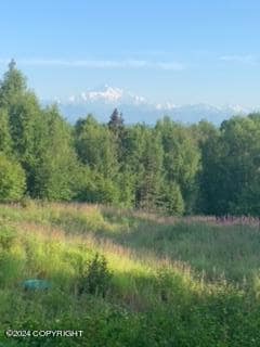 22001 S Freedom Dr, Talkeetna, AK 99676