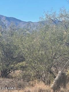 597 E Wildcat Ln Unit 1, Huachuca City, AZ 85616