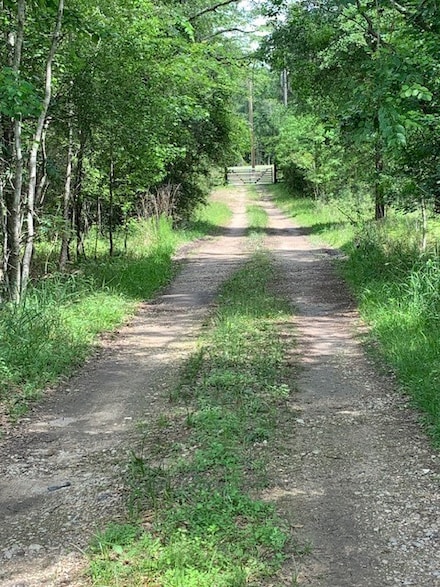 30227 Oak Ln, Magnolia, TX 77354