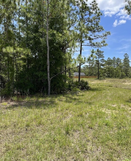 0 Celeste {Lot6} Ave Unit MFRW7875823, Weeki Wachee, FL 34614