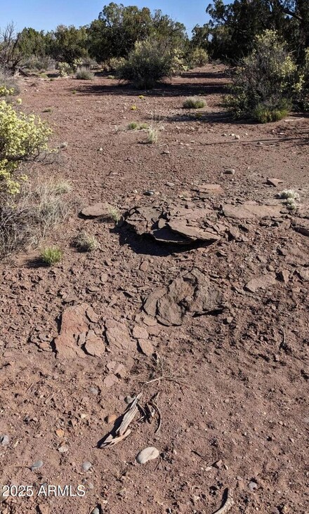 4266 Bunkhouse Rd Unit 6, Snowflake, AZ 85937