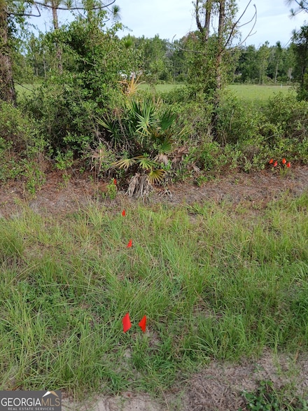 0 Dogwood Ln Unit LOT B OF BL 10342122, Folkston, GA 31537