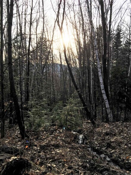 Lot 72 Perkins Hill Rd, Alexandria, NH 03222
