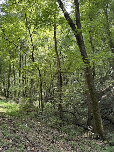 0 Albert Fentress Rd Unit RTC2906900, Greenbrier, TN 37172