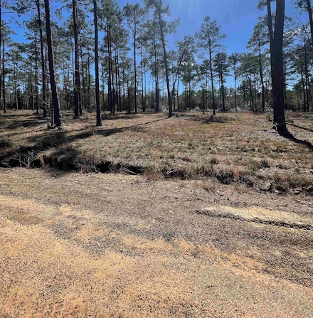 Tract 1-7 Pr 6028, Brookeland, TX 75931