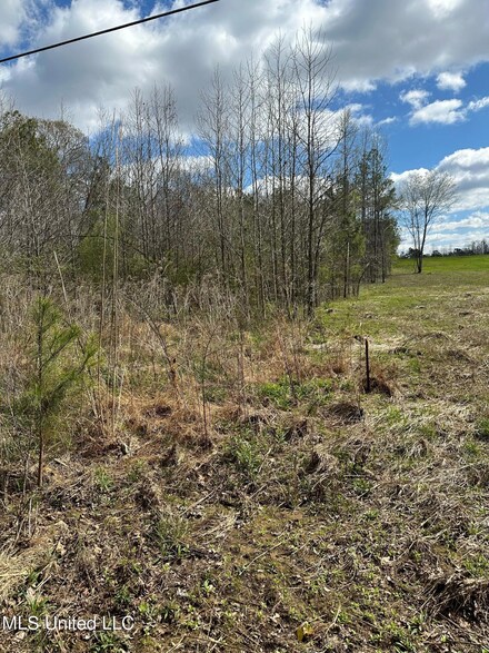 5808 U S 51, Hernando, MS 38632