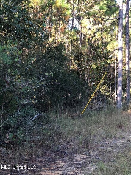 0 Chuck Penton Rd Unit 4073965, Carriere, MS 39426