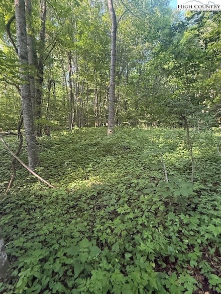 Lot 10 & 11 Billy Bob Ln, Creston, NC 28615