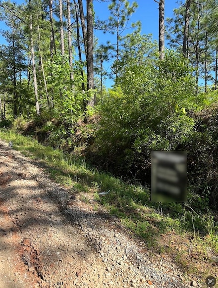 00 Dell Rd, Bainbridge, GA 39819