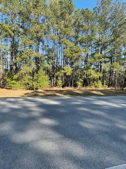 Tbd M W Rickenbaker Rd, Summerton, SC 29148