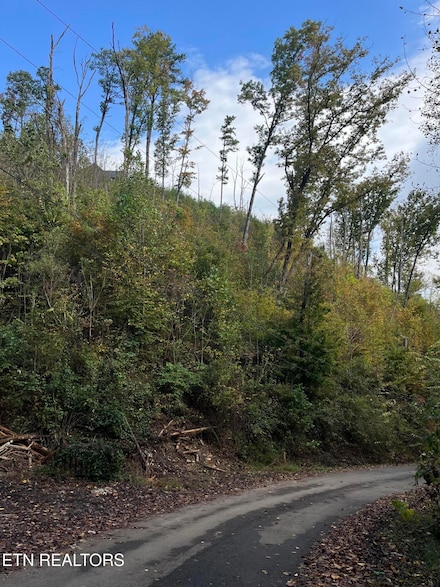 Lot 529 Deep Hollow Rd, Gatlinburg, TN 37738