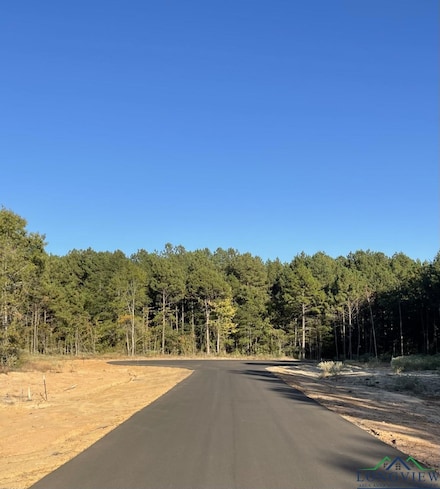 TBD LOT 27 Stonebrook Ct, New Diana, TX 75645