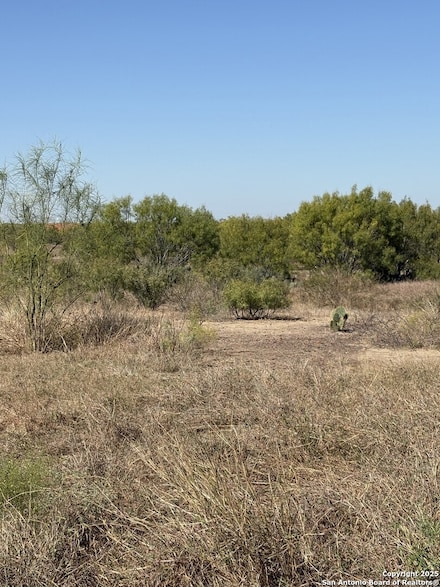 1446 County Road 332, Charlotte, TX 78011