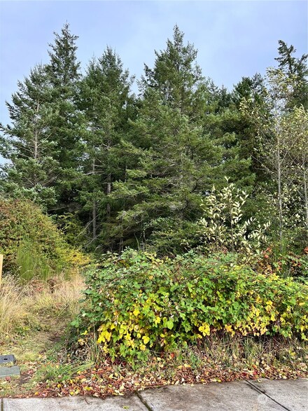 248 Browne St, Friday Harbor, WA 98250