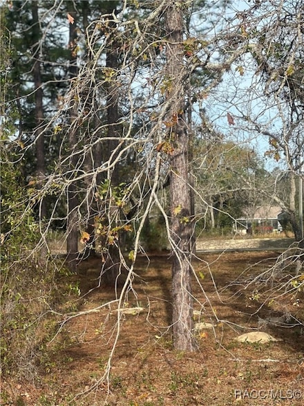 2 Barkwood Point, Sugarmill Woods, FL 34446