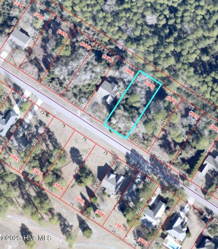 1728 Caracara Dr, Fairfield Harbour, NC 28560