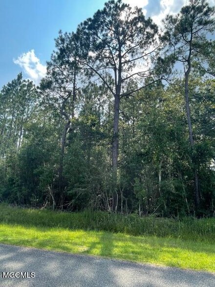0 Crazy Horse Dr Unit 3378663, Kiln, MS 39556