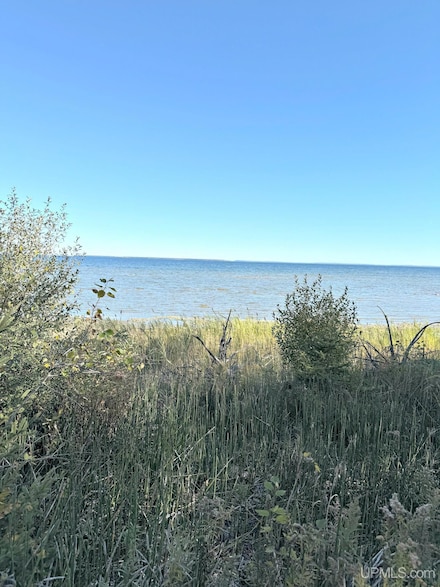 TBD E State Highway M35, Menominee, MI 49858