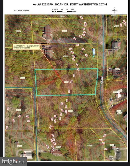 7013 Noah Dr, Camp Springs, MD 20744