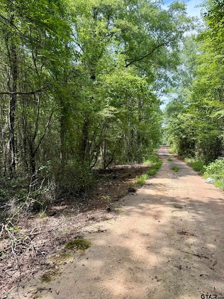 TBD County Road 3408, Jefferson, TX 75657