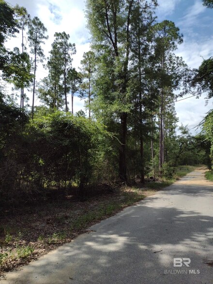 0 Silas Ganey Rd, Stockton, AL 36579