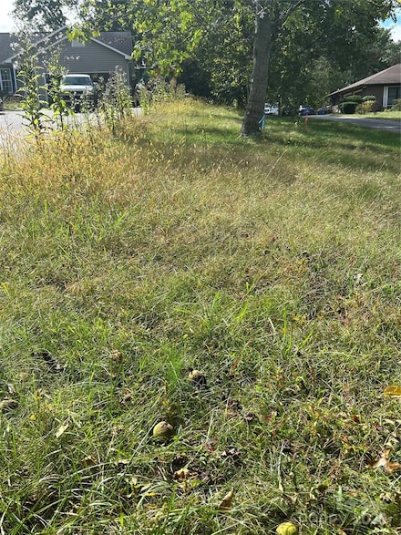 59 Wyatt St, Asheville, NC 28803