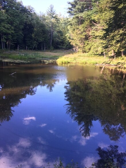353 Northwest Rd, West Hampton, MA 01027