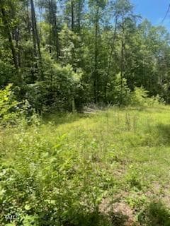 738 Dick St, Gibsonville, NC 27249